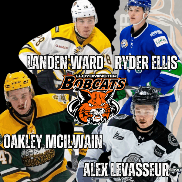 Bobcats Make Deadline Moves